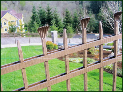 San Francisco Wrought Iron Fence